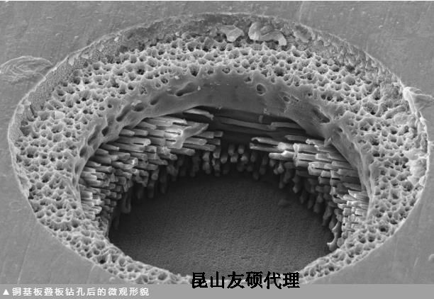 德阳蔡司德阳扫描电镜